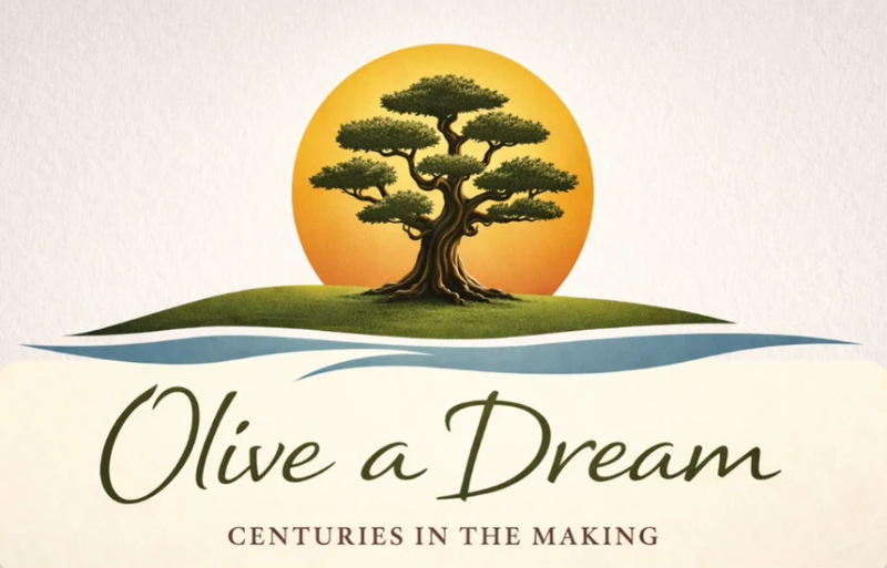 Olive a Dream — Centuries in the Making