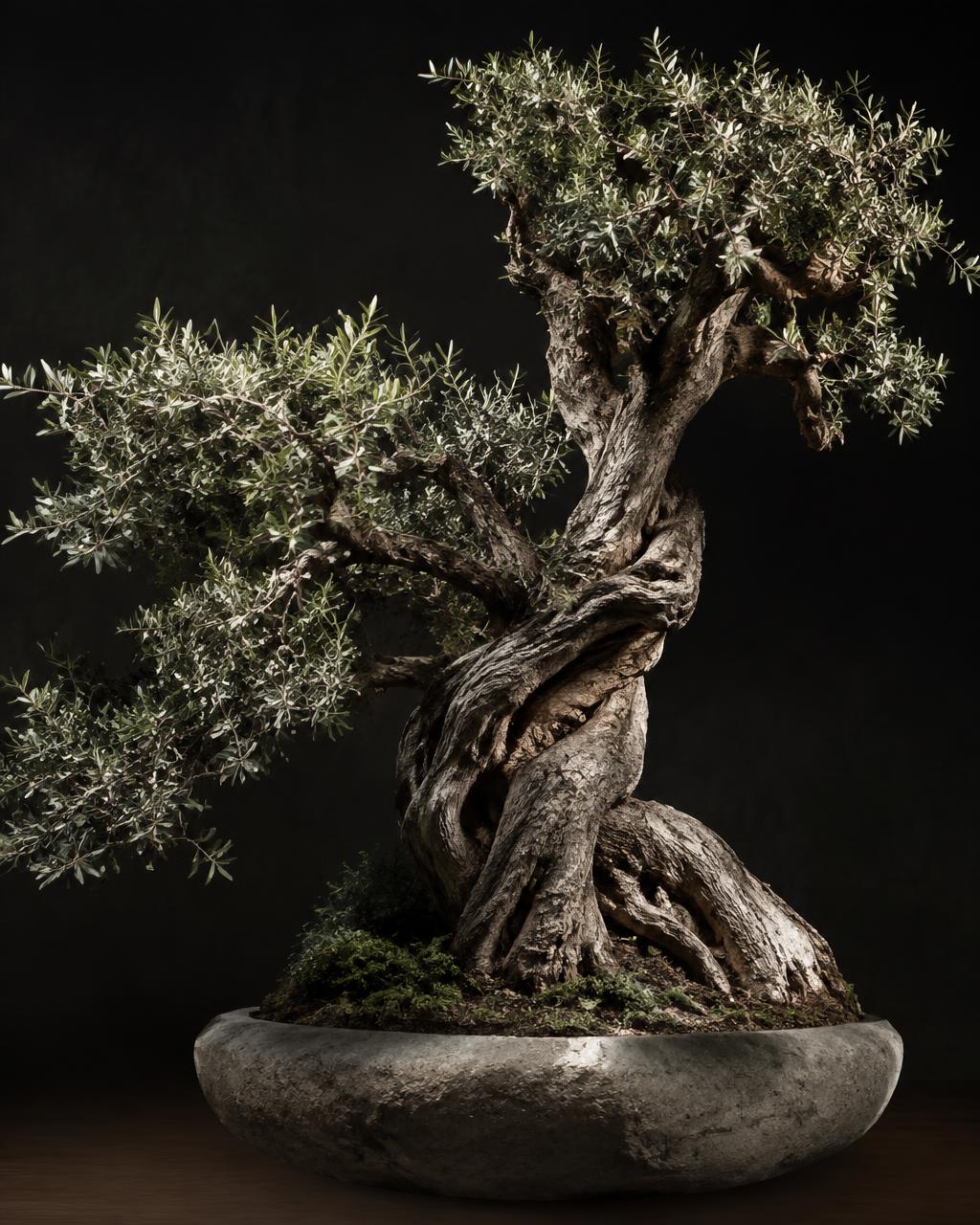 Macro Bonsai