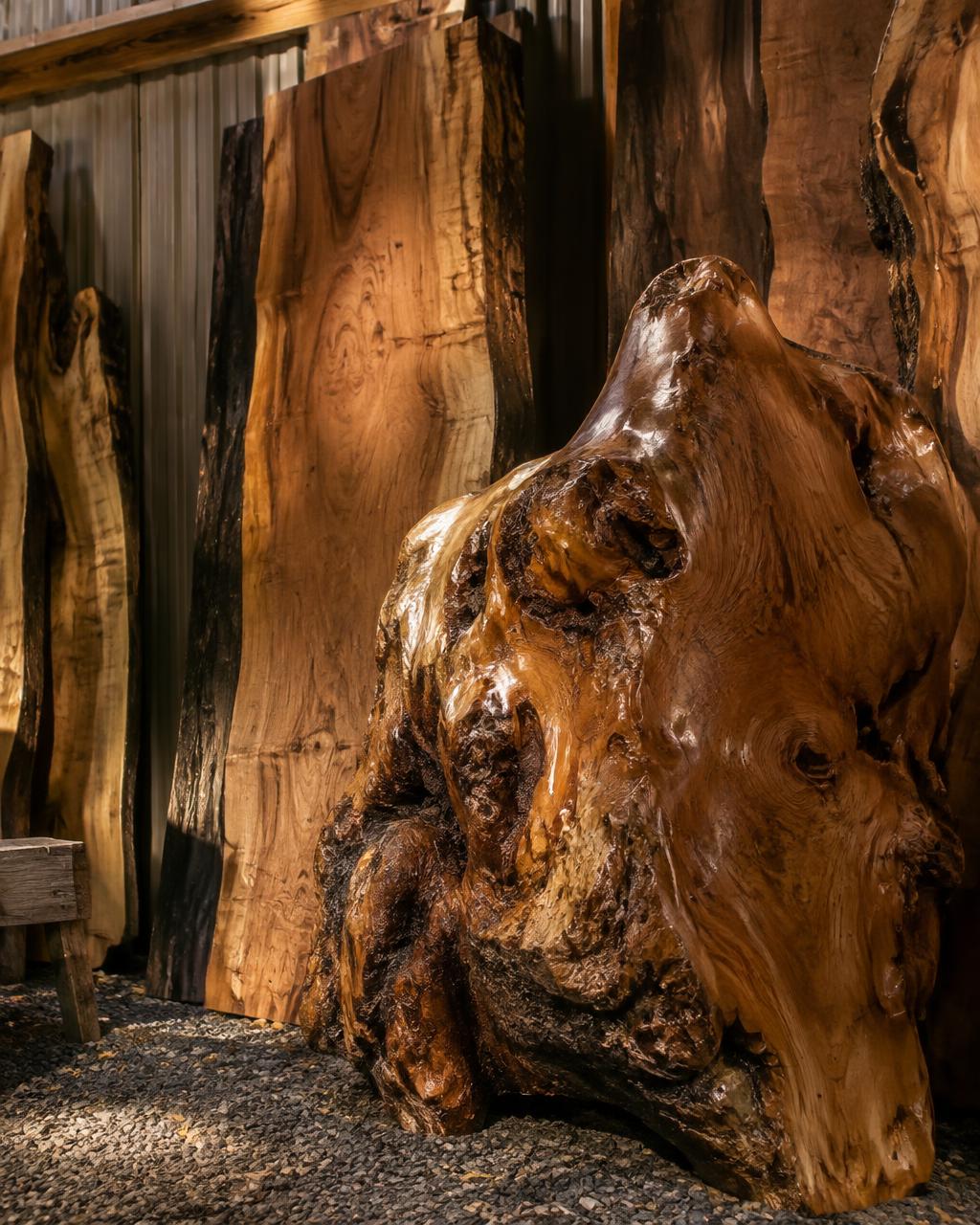 Live-Edge Wood & Root Slabs